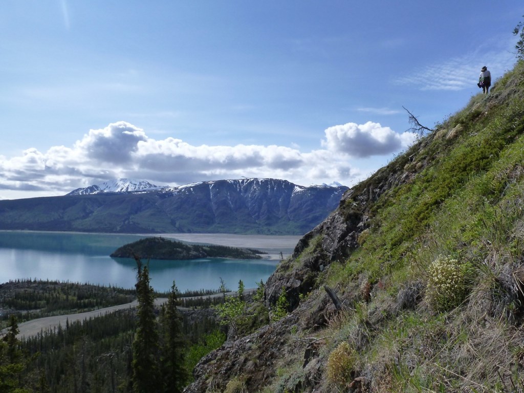 kluane_08.jpg