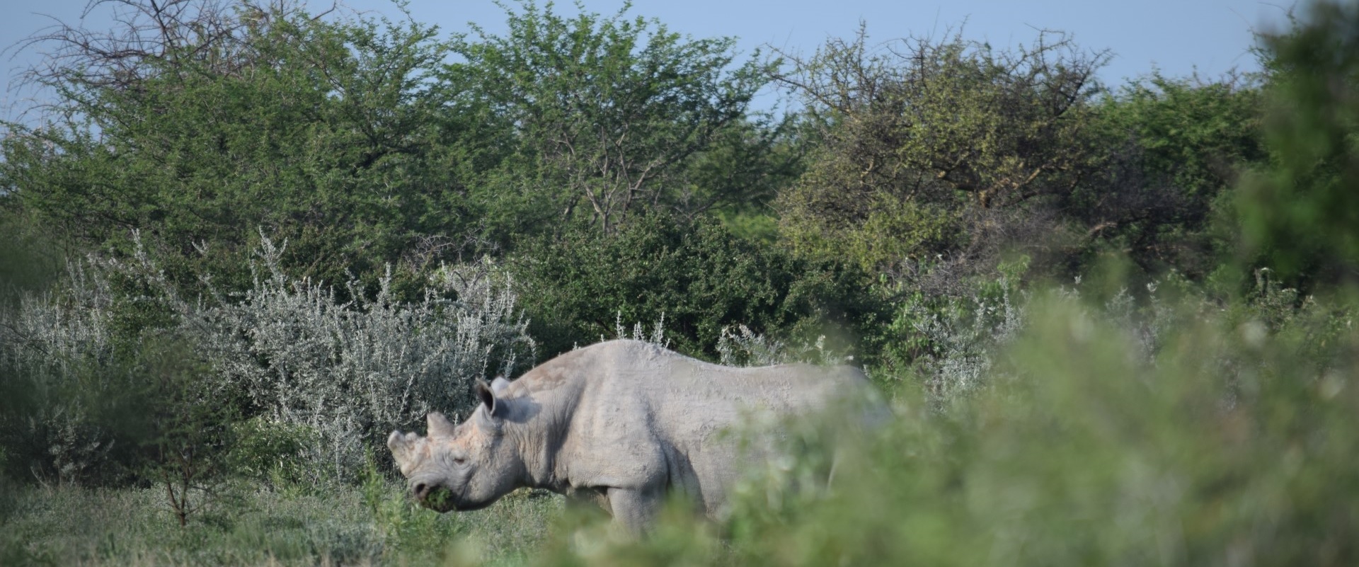 Namibia04.jpg