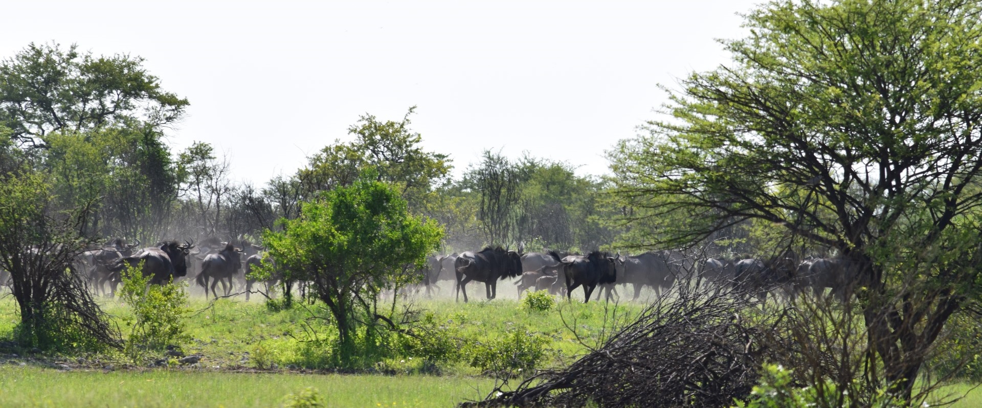 Namibia10.jpg