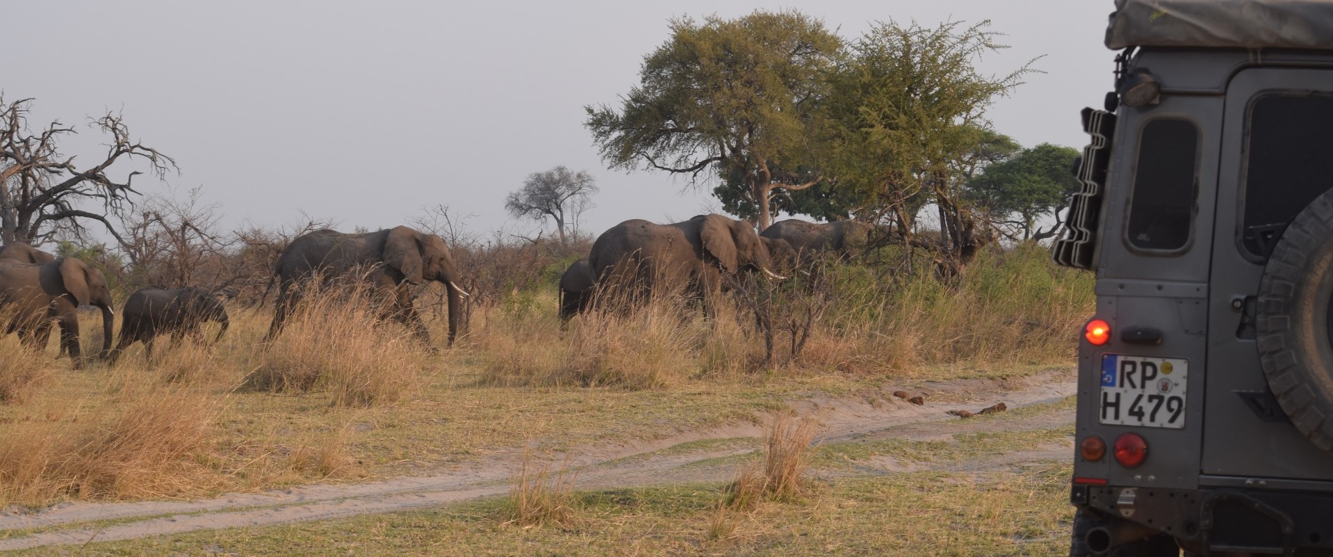 Namibia13.jpg